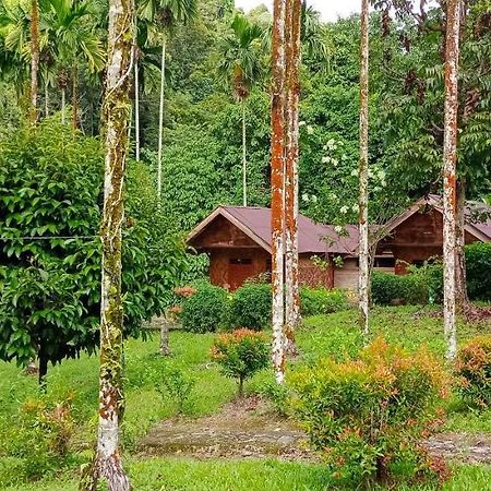 Green Lodge Tangkahan Exterior foto