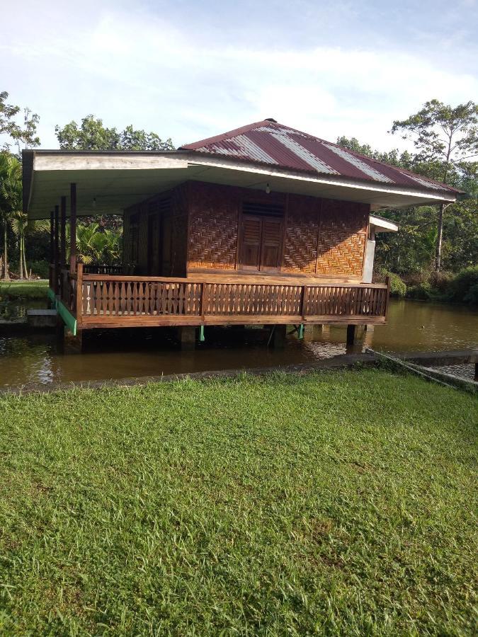 Green Lodge Tangkahan Exterior foto