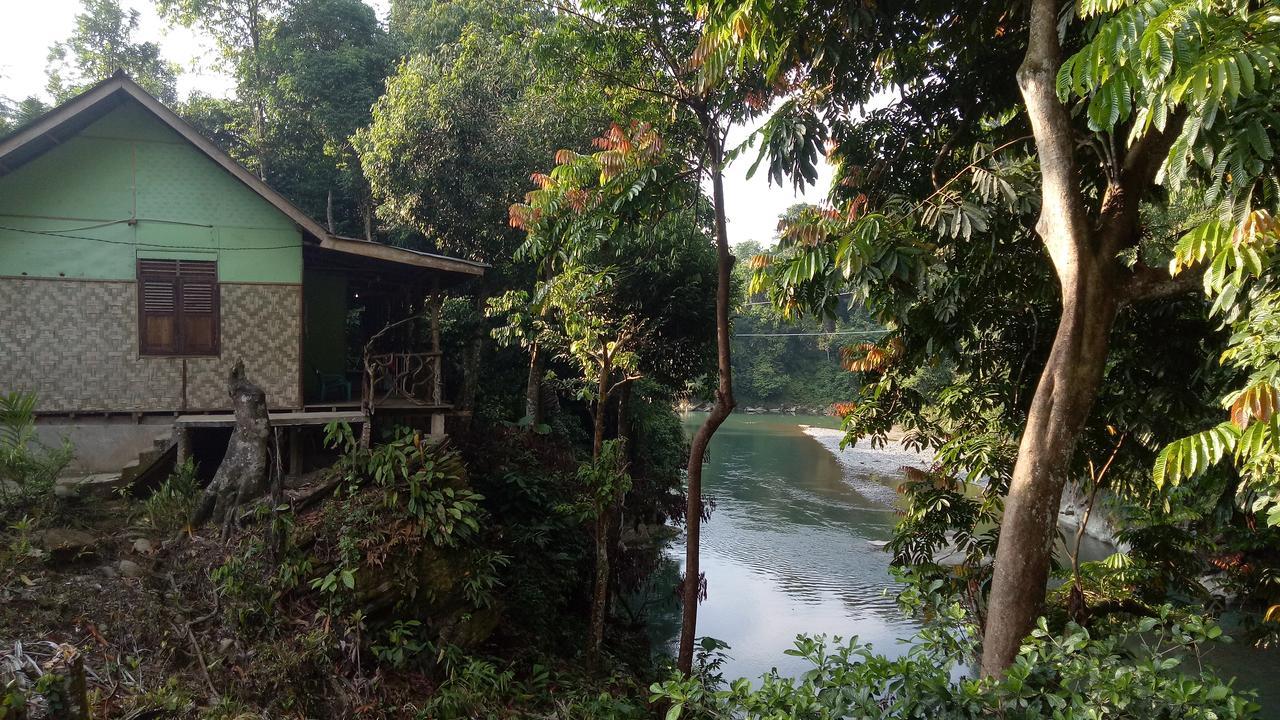 Green Lodge Tangkahan Exterior foto
