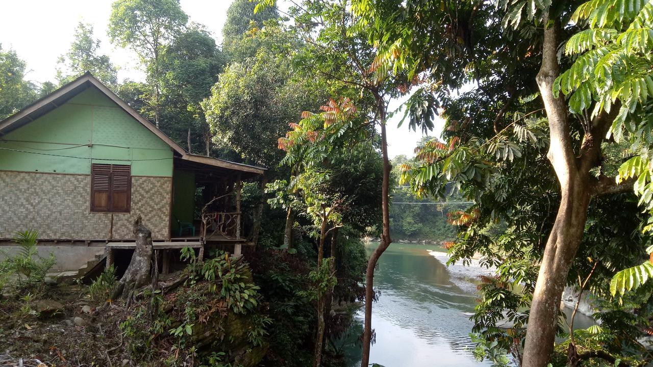 Green Lodge Tangkahan Exterior foto